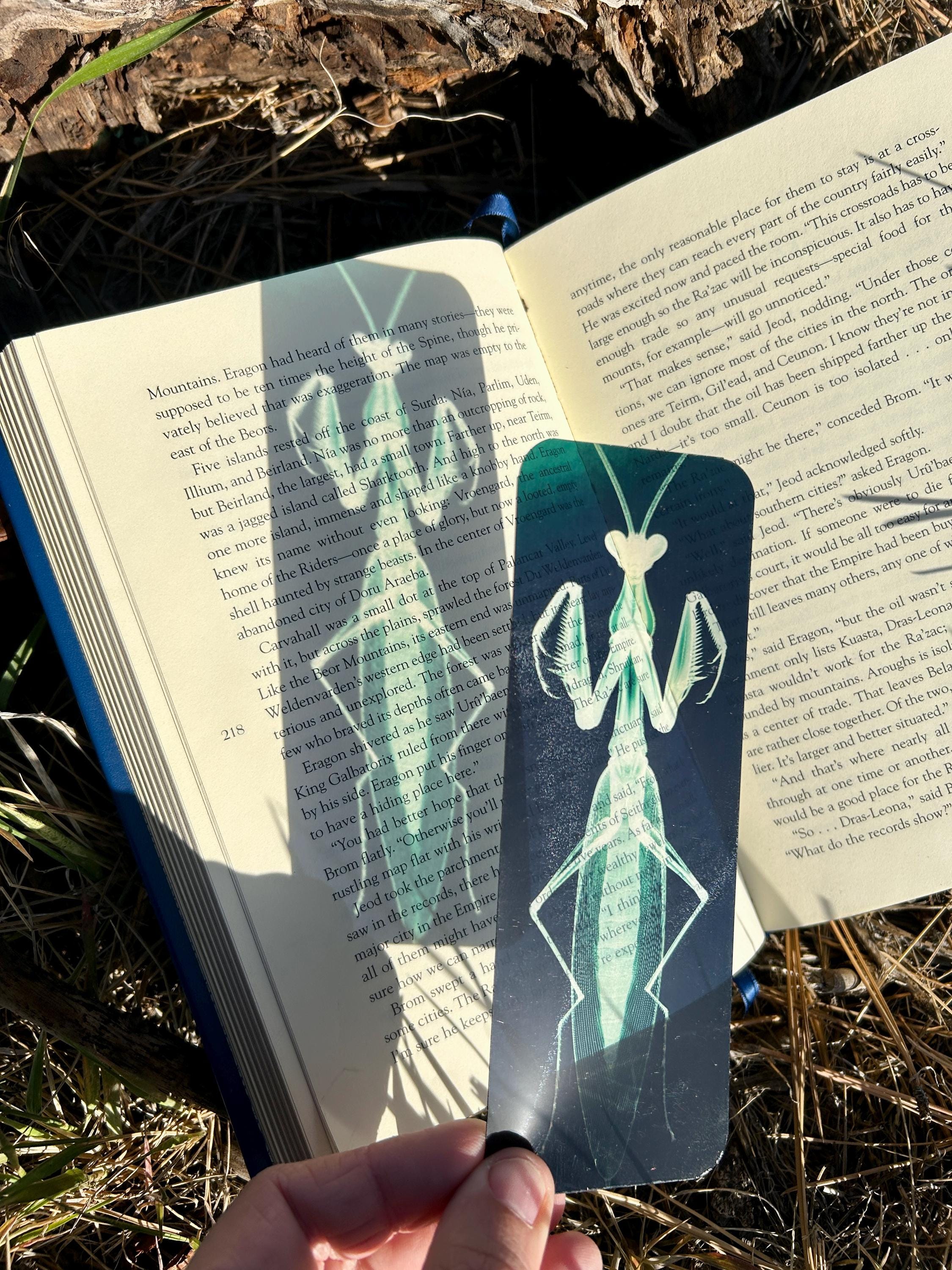 X-Ray Praying Mantis Stained Glass Suncatcher, Nature Anatomy Inspired Insect Art, Botanical Science Aesthetic Window Style