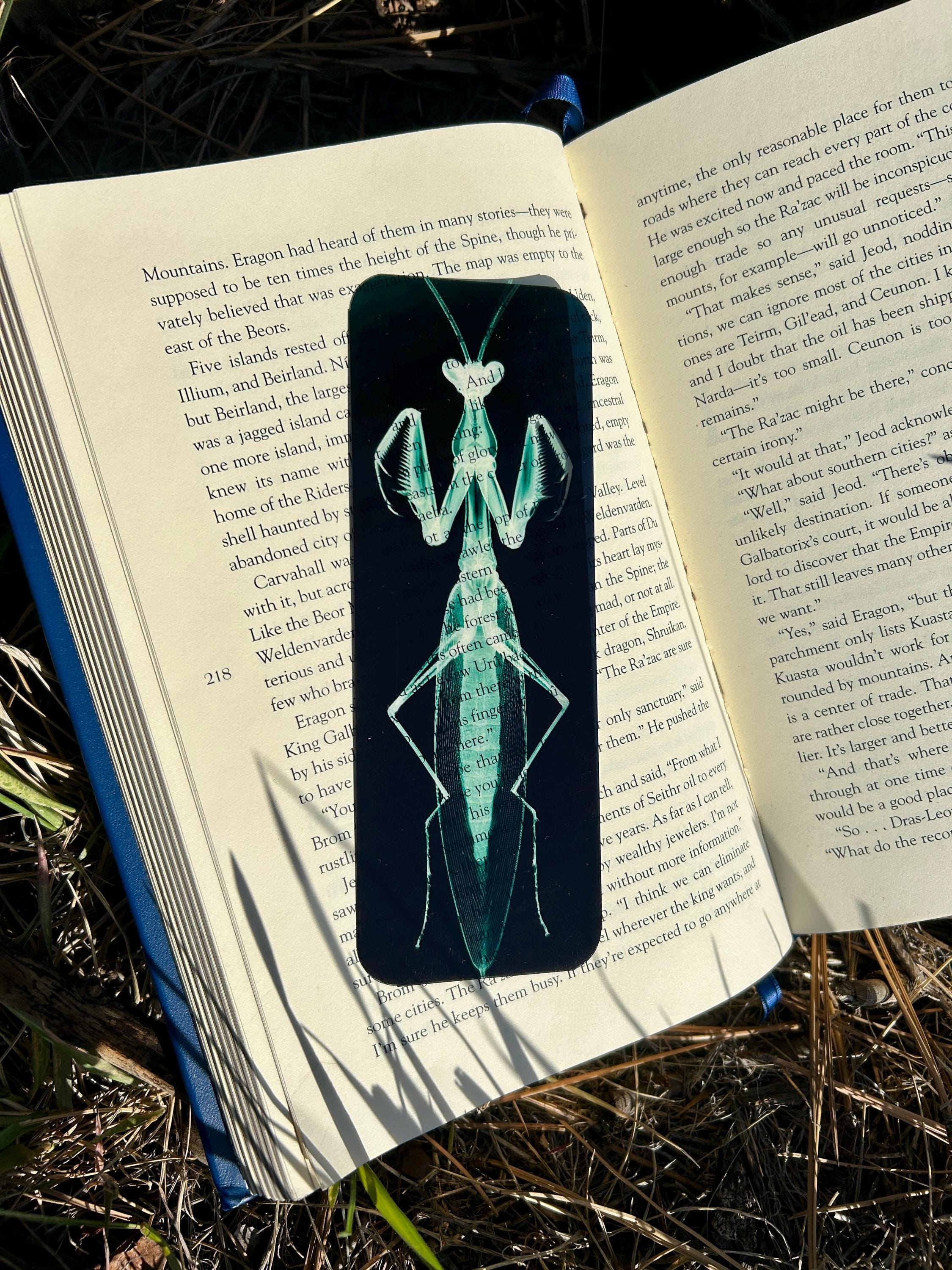 X-Ray Praying Mantis Stained Glass Suncatcher, Nature Anatomy Inspired Insect Art, Botanical Science Aesthetic Window Style