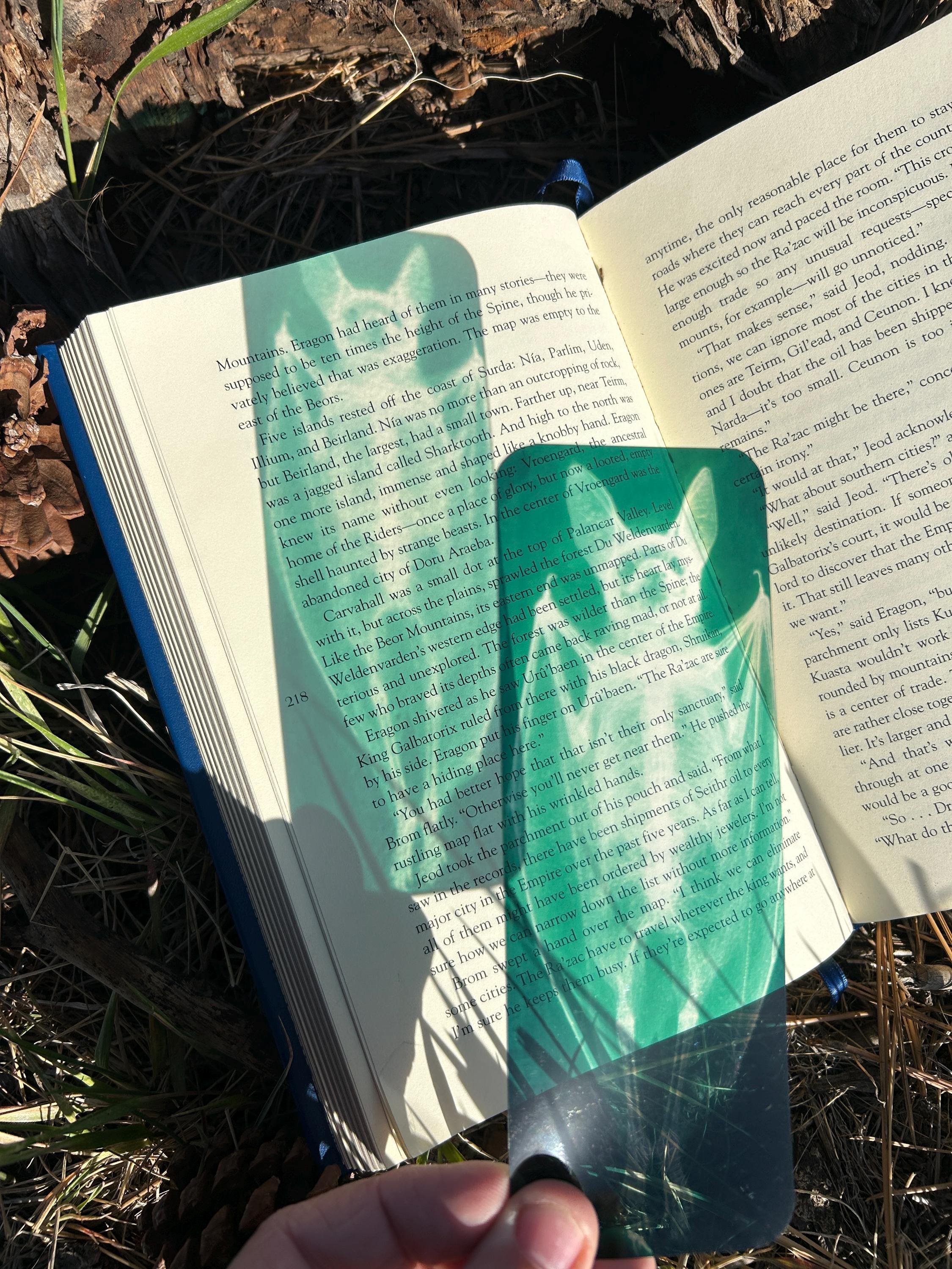 Halloween Bat Bookmark, X-Ray Stained Glass Suncatcher, Spooky Gift for Readers, Gothic Book Accessory, Witchy Gothic Decor, Horror Fan Gift