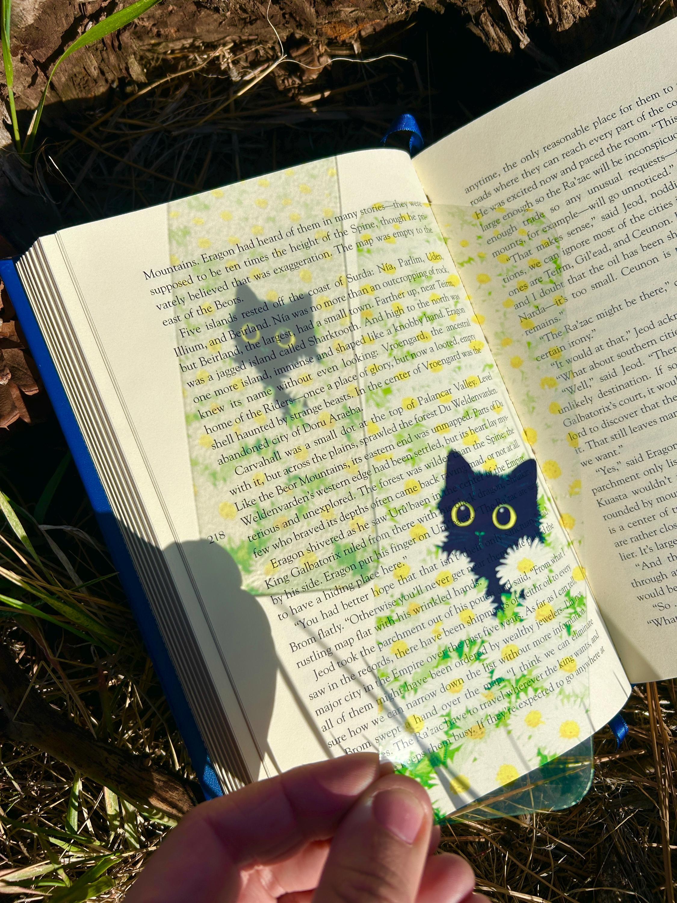 Black Cat in Flowers Sun Catcher & Bookmark