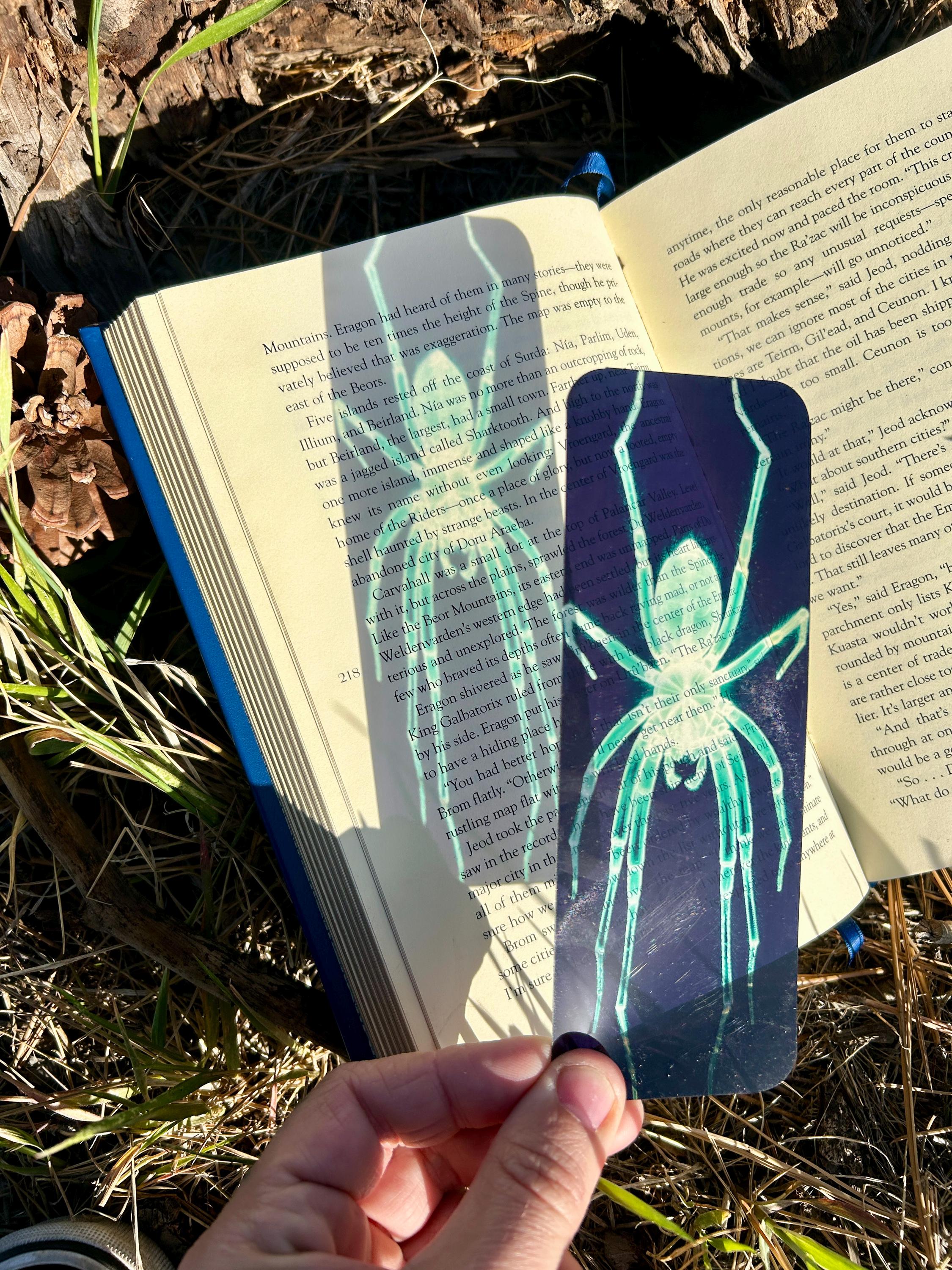X-Ray Spider Stained Glass Suncatcher, Arachnid Gothic Insect Anatomy Art, Dark Spiders Botanical Aesthetic Gift